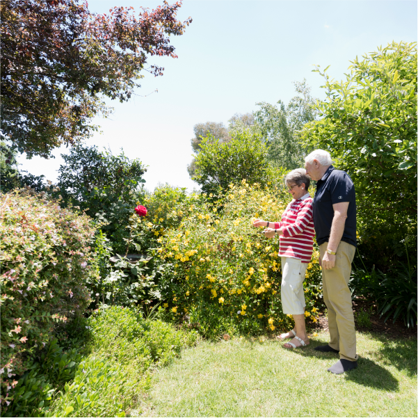 Advanced Rehabilitation Services: Supporting Recovery and Independence